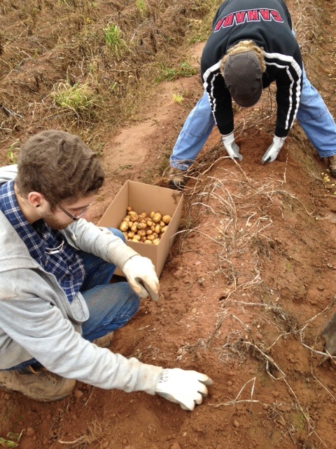 Some of the crew digging samples