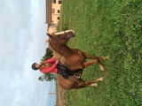 Katelynn Visser riding her horse