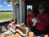 New potatoes being bagged
