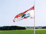 Prince Edward Island Provincial Flag