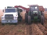 Picking Up the Potatoes with the Harvester